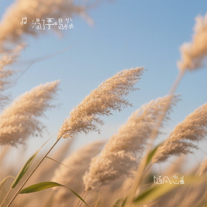 随风恋曲