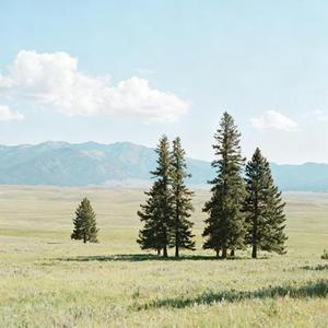 不甘(Cover 小乐哥)