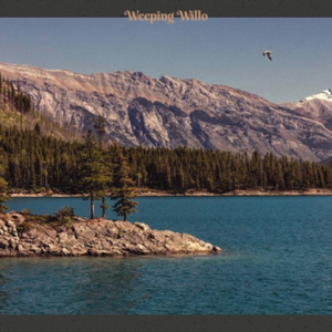 The Way of Suffering Part II