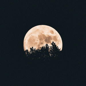 Lucid Dreaming, Pt. 04