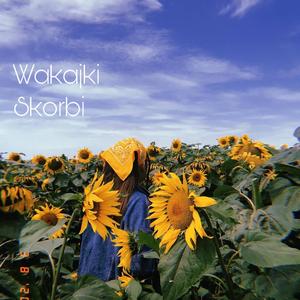 Wakajki