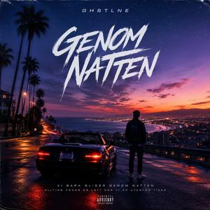 Genom Natten