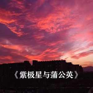 紫极星与蒲公英（Prod.白昼星BZX)