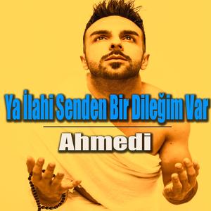 Ya İlahi Senden Bir Dileğim Var
