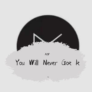 You Will Never Got It
