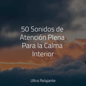 Meditación Sin Consolidar