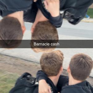 Barnacle Cash