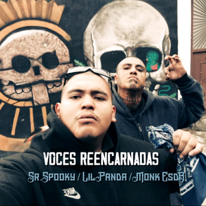 Voces Reencarnadas