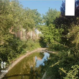 放手是最后的清醒