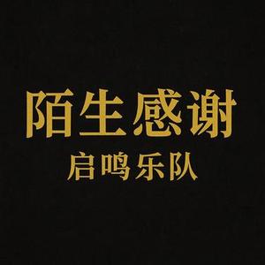 陌生感谢 (启鸣乐队 Remix)