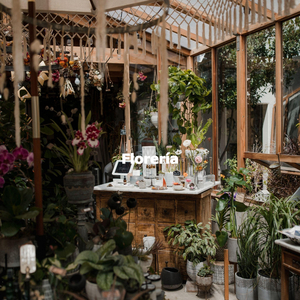 Sublime Ambiance for Enchanting Afternoons