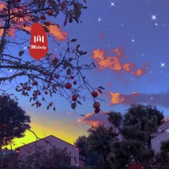 叹这一生 (DJ版)