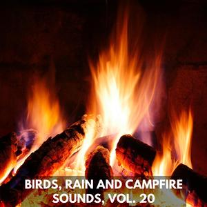 Crystal Water of Beach