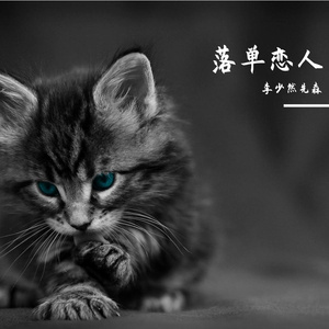 落单恋人