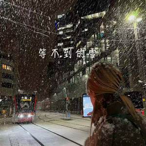 等不到的雪(忘不掉)