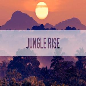 Jungle Rise
