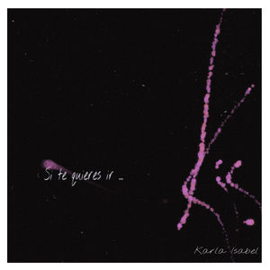 Si Te Quieres Ir...
