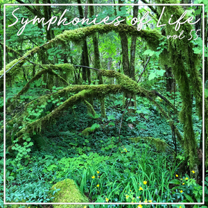 Rondo Arlecchinesco, Op.46