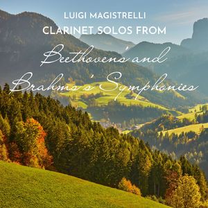 Symphony No. 4, Op. 60:II, III & IV. Andante sostenuto - Un poco allegretto e grazioso - Adagio