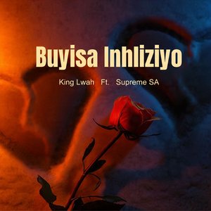 Buvisa Inhliziyo