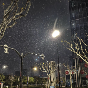 悲喜自渡的自由