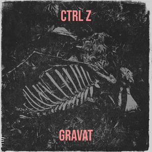 CTRL Z