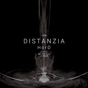 Distanzia (Wallis Remix)