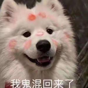 十二（翻自 张罐子）