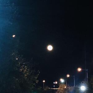 一腔诗意喂了狗