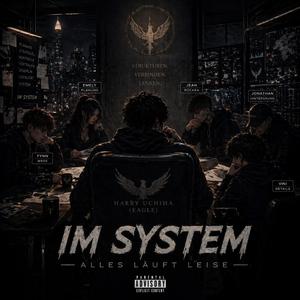 Im System