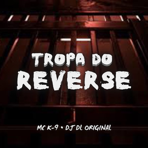 Tropa do Reverse