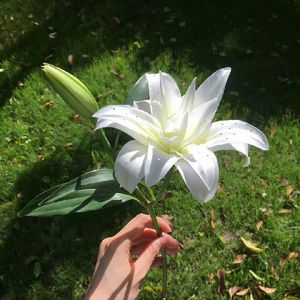 迷雾里的爱