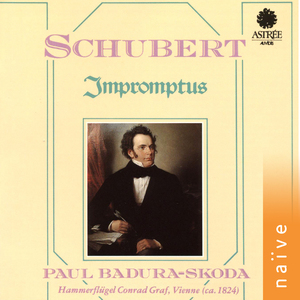 4 Impromptus, Op. 142, D. 935: No. 3 in B-Flat Major, Andante