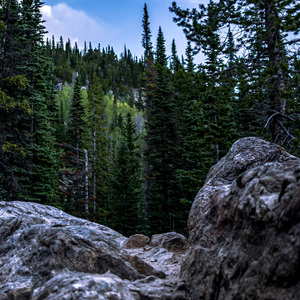 爱情甜满心湖 Love fills the heart lake.