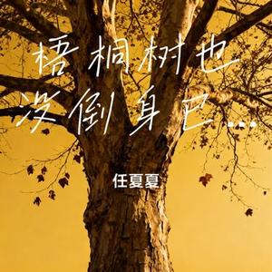 梧桐树也没倒身已老