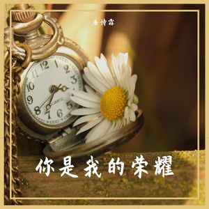 你是我的荣耀 (冥想版)