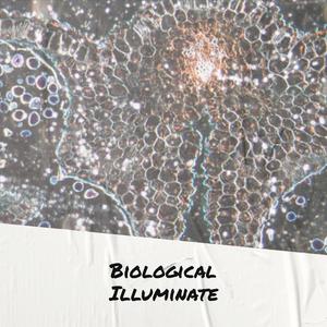 Uranus Saint-laurent