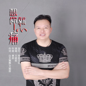 想你就心痛 (伴奏)