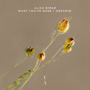 Dreamin' (Extended Mix)