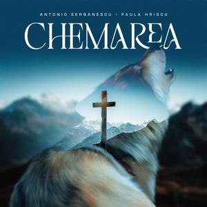 Sub o salcie pletoasă