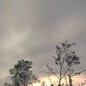 阿妙甘（别害怕）白族话版