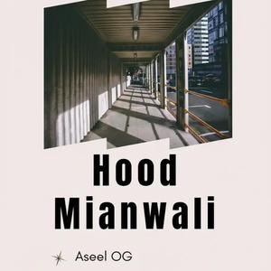 Hood Mianwali