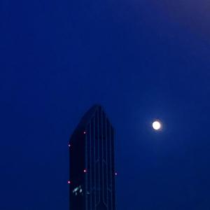 在每个酒精也平抚不了的夜里,我总是想起你的吻。