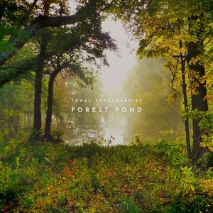 Forest Pond
