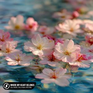 Where My Heart Belongs