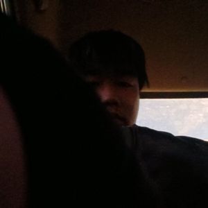 红豆