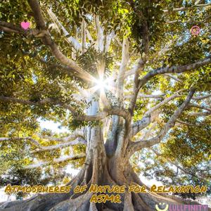 Walking in the Forest