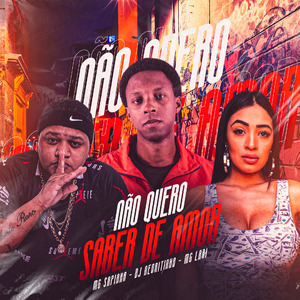 Não Quero Saber de Amor