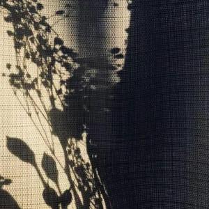 关于郑州的记忆