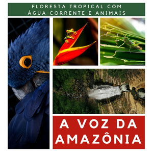 Amazônia e a sua Paz